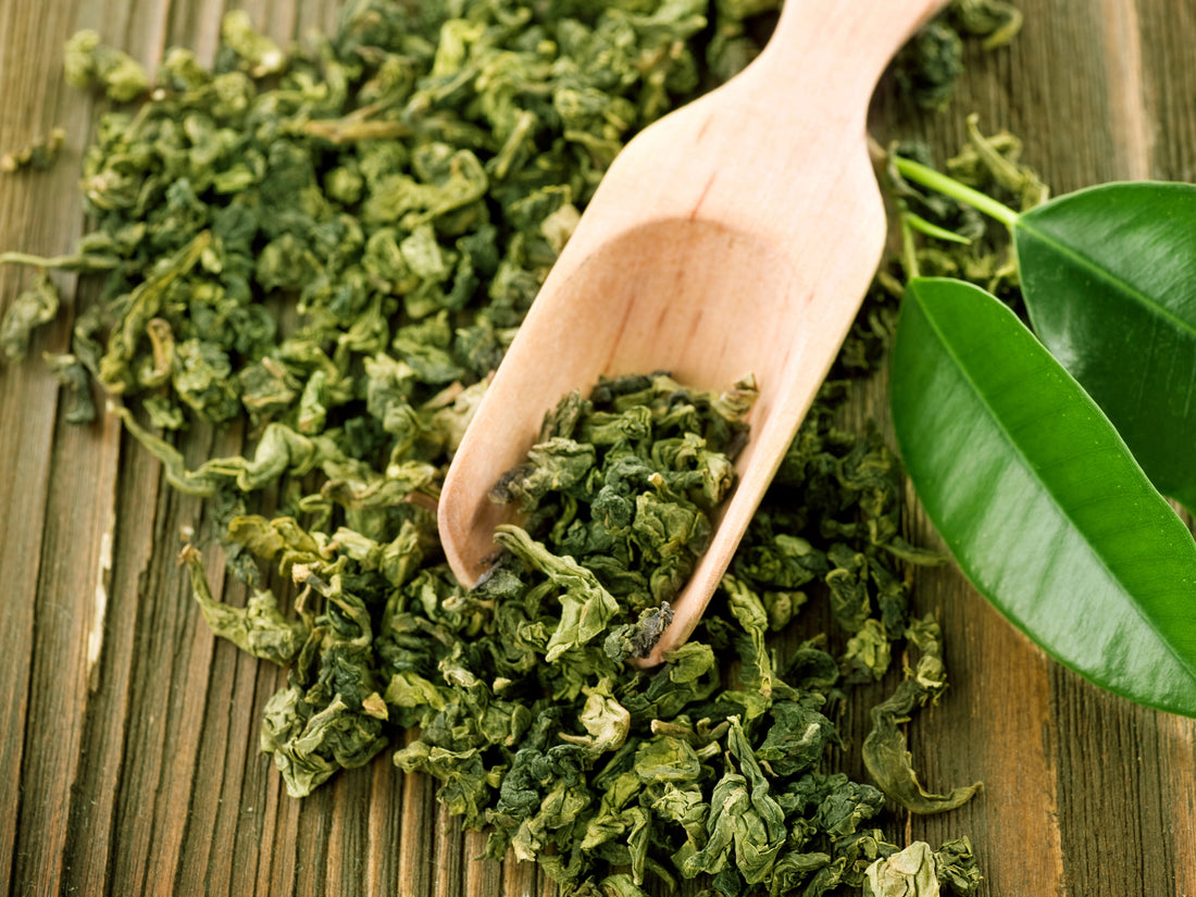 Green Tea Extract Supplements